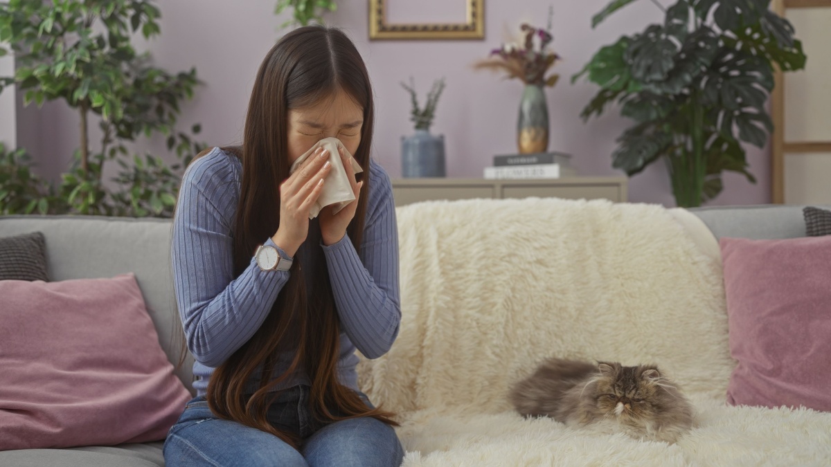 a young woman sitting on the couch and sneezing into a tissue - a long-haired cat is lying next to her